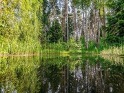 Продажа дома Резиденции Бенилюкс 2400 м² Новорижское шоссе - 642180 - 642180