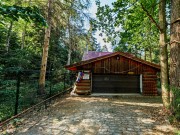 Аренда дома Жуковка Академическая 500 м² Рублево-Успенское шоссе - 370743 - foto_bw