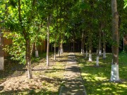 Продажа дома Чистые пруды-2 (Птичное) 450 м² Калужское шоссе - Фото - foto_or3