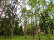 Аренда дома Сосны 1 1250 м² Рублево-Успенское шоссе - Фото - foto_or4