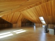 Аренда дома Поселок Малевича 600 м² Можайское шоссе - 472905 - foto_tr