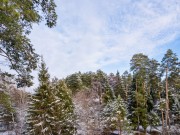 Продажа дома Сосновый бор (Николина Гора) 600 м² Рублево-Успенское шоссе - 635560 - 635560