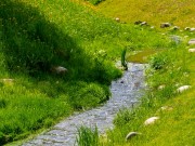 Продажа дома Арт-Эко 410 м² Новорижское шоссе - 640047 - 640047