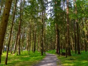 Продажа дома Арт-Эко 410 м² Новорижское шоссе - 640063 - 640063