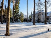 Продажа дома Николино 450 м² Рублево-Успенское шоссе - 404745 - foto_lw