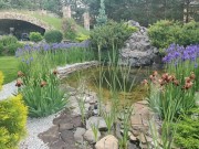 Продажа дома Чистые ключи 750 м² Киевское шоссе - 624505 - 624505