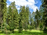 Аренда дома Резиденция Маслово 550 м² Рублево-Успенское шоссе - Участок - foto_ls