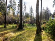 Продажа дома Бородки 462 м² Минское шоссе - 383649 - foto_bs