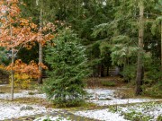 Продажа дома ВИК 633 м² Киевское шоссе - Фото - foto_or1