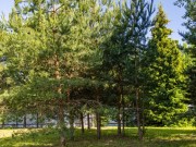 Продажа дома Успенское 500 м² Рублево-Успенское шоссе - 580745 - foto_br2