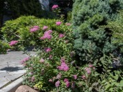 Продажа дома Сареево 39 ДСК 400 м² Рублево-Успенское шоссе - 635418 - 635418