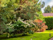 Продажа дома Нахабино Country 340 м² Новорижское шоссе - 630594 - 630594