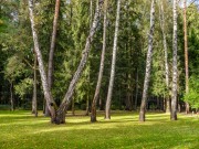 Продажа дома Нахабино Country 340 м² Новорижское шоссе - 630599 - 630599