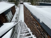 Продажа дома Звенигород 326 м² Новорижское шоссе - Участок - foto_lw