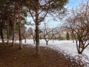 Продажа дома Вырубово 650 м² Минское шоссе - Зимний сад - foto_gr