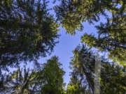 Продажа дома Глаголево-парк 700 м² Киевское шоссе - 622932 - 622932