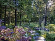 Продажа дома Глаголево-парк 700 м² Киевское шоссе - 622948 - 622948