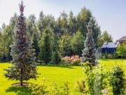 Продажа дома Староникольское 810 м² Киевское шоссе - 624269 - 624269