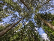 Продажа дома Семенково 830 м² Рублево-Успенское шоссе - 624583 - 624583