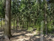 Продажа дома Семенково 830 м² Рублево-Успенское шоссе - 624591 - 624591