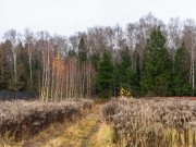 Продажа дома Певчее 240 м² Калужское шоссе - 628657 - 628657