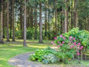 Продажа дома Акиньшино 733 м² Киевское шоссе - 629182 - 629182