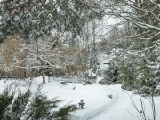 Продажа дома Аврора 1350 м² Дмитровское шоссе - 633769 - 633769