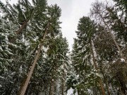 Продажа дома Рожновка 473 м² Минское шоссе - 634131 - 634131