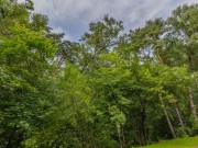 Продажа дома Архангельское 406 м² Ильинское шоссе - 643653 - 643653