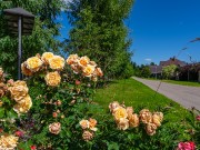 Продажа дома Чистые пруды (Крекшино) 400 м² Минское шоссе - 644879 - 644879