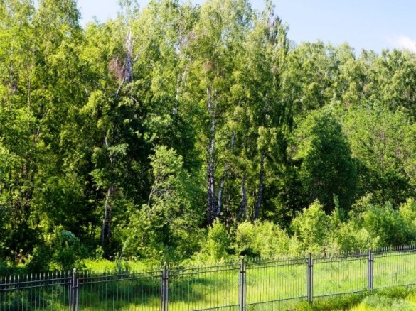 Продажа участка Монтевиль 27 соток Новорижское шоссе - foto1.jpg