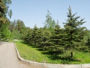 Продажа участка Саланг 48 соток Рублево-Успенское шоссе - foto2