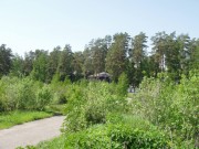 Продажа участка Саланг 48 соток Рублево-Успенское шоссе - foto4