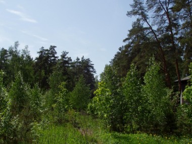 Купить участок - Саланг - 20250