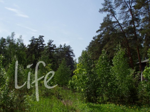 Продажа участка Саланг 48 соток Рублево-Успенское шоссе - foto1