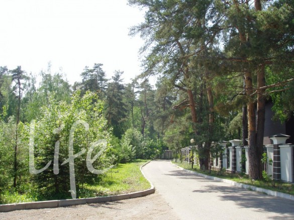 Продажа участка Саланг 16 соток Рублево-Успенское шоссе - foto3