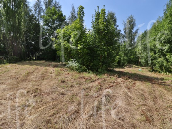 Продажа участка Монтевиль 33 сотки Новорижское шоссе - 620633