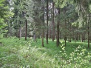 Продажа участка Веледниково 50 соток Новорижское шоссе - 639181