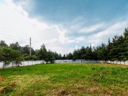 Продажа участка Дунино 22 сотки Рублево-Успенское шоссе - foto6.jpg