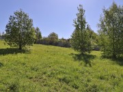 Продажа участка Лес и Река 21 сотка Новорижское шоссе - foto2.jpg