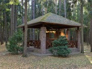 Продажа участка Корабельные сосны 40 соток Рублево-Успенское шоссе - 633230