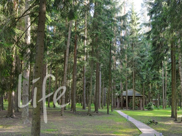 Продажа участка Корабельные сосны 40 соток Рублево-Успенское шоссе - 633220