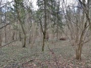 Продажа участка Лешково 117 соток Новорижское шоссе - foto2