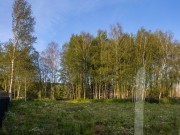 Продажа участка Crystal Istra 28 соток Новорижское шоссе - 624337