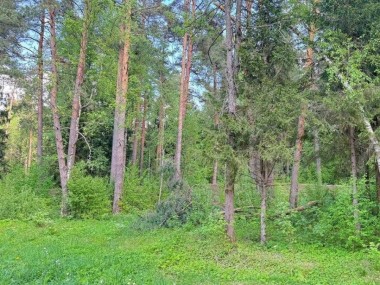 Продажа участка Сосновый бор (Николина Гора) 15 соток Рублево-Успенское шоссе - Маслово - 57448