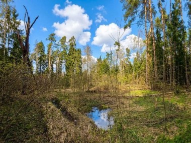 Продажа участков КП Николино - Николино - 57489