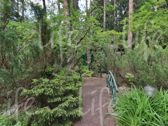 Продажа участка РАНИС 25 соток Рублево-Успенское шоссе - foto4