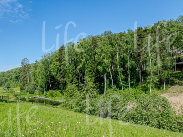 Продажа участка Березки 31 сотка Рублево-Успенское шоссе - 623138