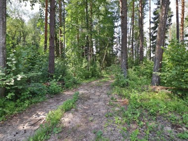 Купить участок - Новогорск - 57939