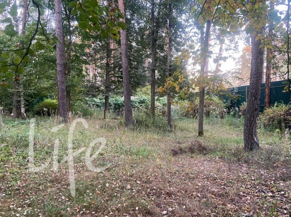 Продажа участка Новь ДПК 10 соток Рублево-Успенское шоссе - foto1